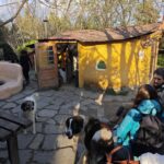 Eco community near Larisa with a small yellow natural house, people and dogs interacting in a peaceful rural setting