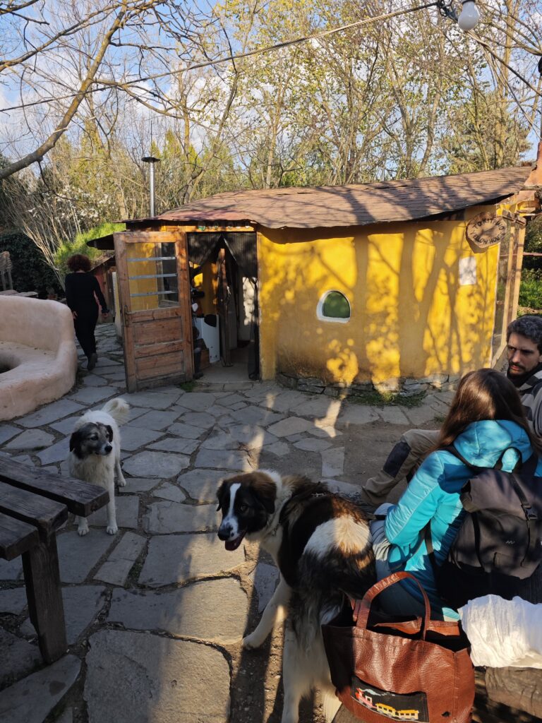 Eco community near Larisa with a small yellow natural house, people and dogs interacting in a peaceful rural setting