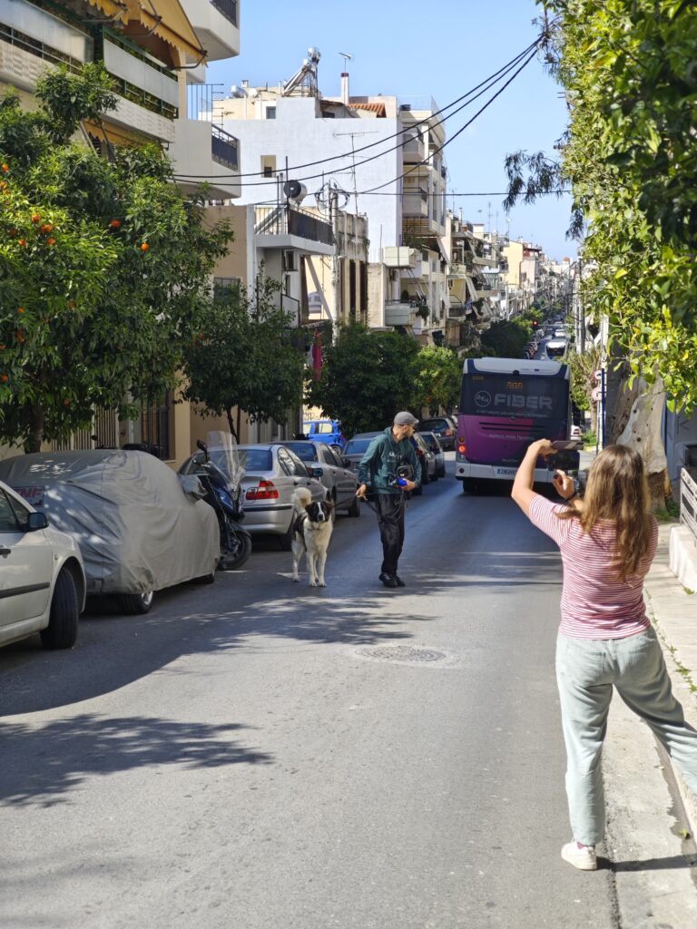A man walking his large dog through a street in Athens surrounded by cars and orange trees