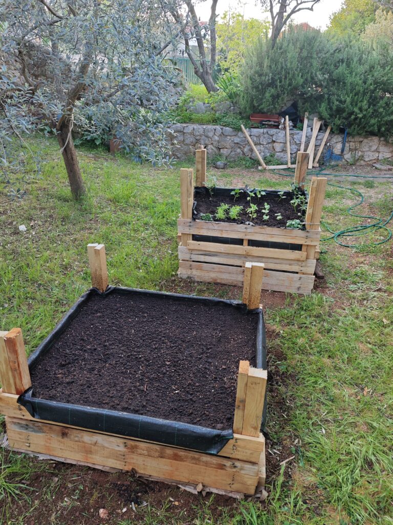 Finished DIY raised garden beds for growing vegetables in a Croatian Mediterranean garden