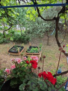From Roots to the Table: How a Garden Bed Became a Story of New Beginnings