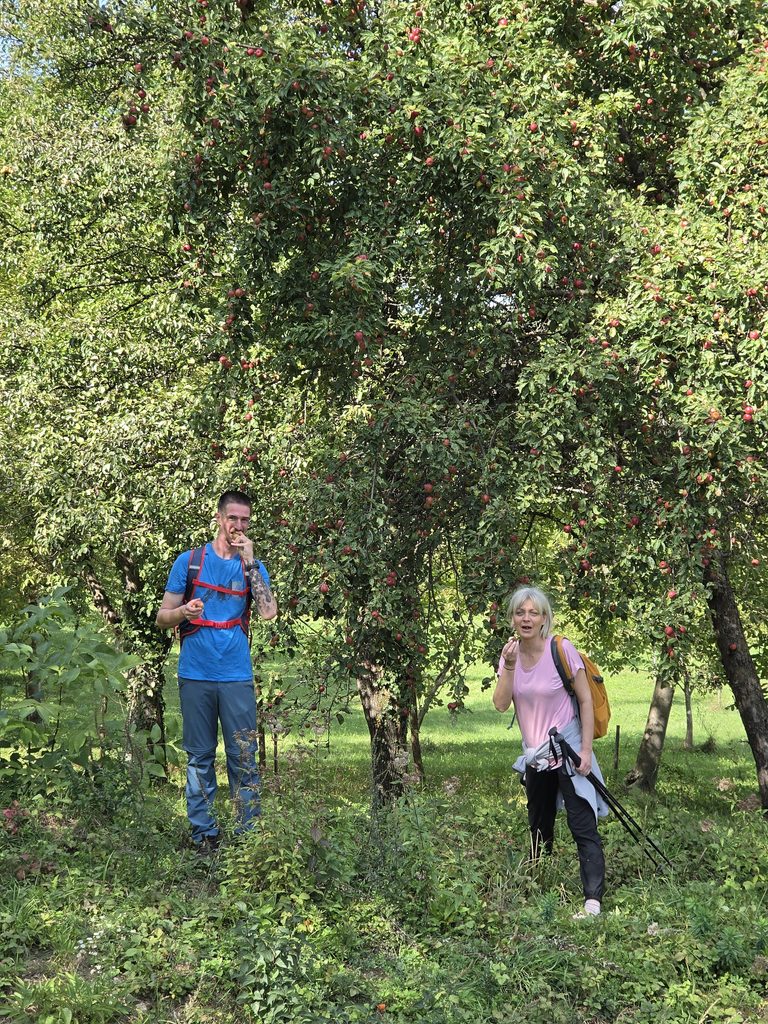 Za prvu fotografiju gore lijevo:
Dvoje sudionika prolazi šumskom stazom među stablima punima crvenih plodova tijekom uspona na Hrastovačku goru.
